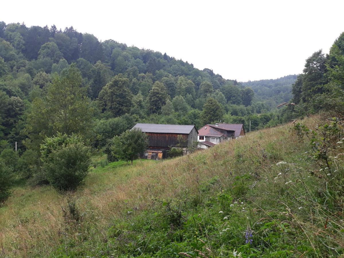 Pokoje Goscinne Thank You Life, Apartament 2 Forest For Rest Быстшица-Клодзкая Экстерьер фото